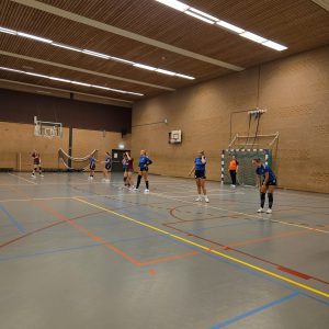 Kwiek knokt, maar komt tekort in grillige uitwedstrijd tegen Cirkel tijgers.